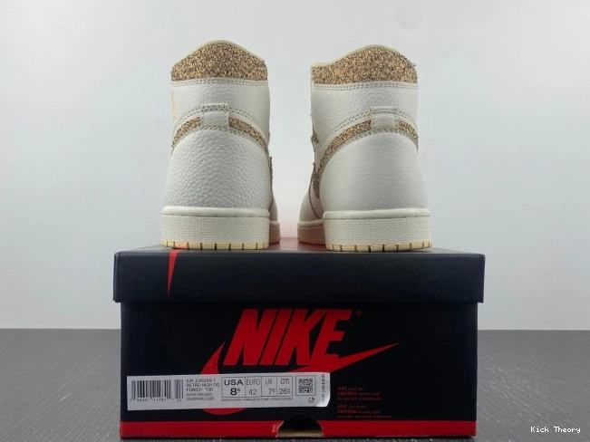 Kicked Out Shoe Store Air Craft OG High Jordan 1 FD8631-100 0820